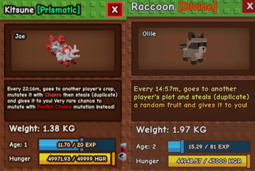 kitsune raccoon